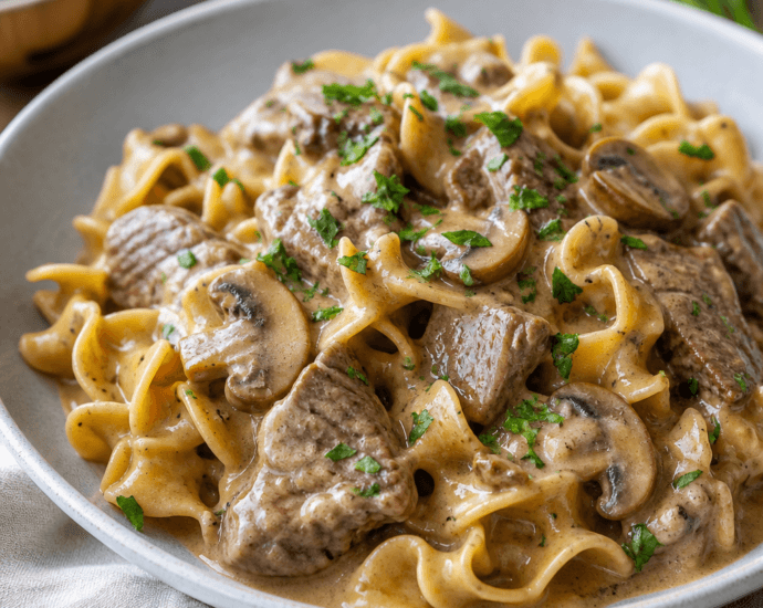 Comforting Instant Pot Beef Stroganoff Recipe