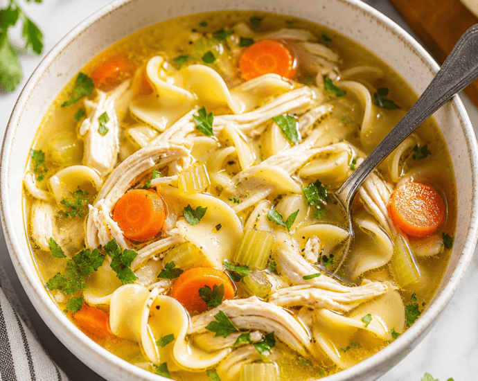 Cozy Homemade Instant Pot Chicken Noodle Soup Recipe
