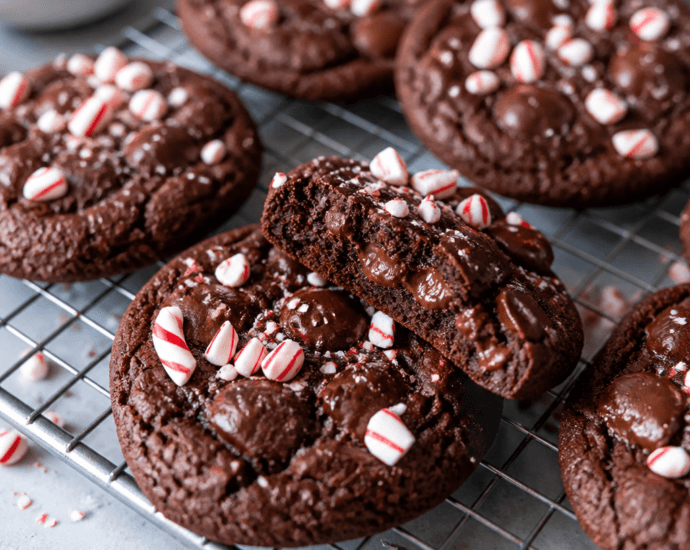 Double Chocolate Peppermint Cookie Bliss